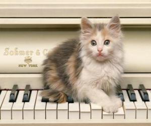yapboz Bir piyano üzerine Kitten playing